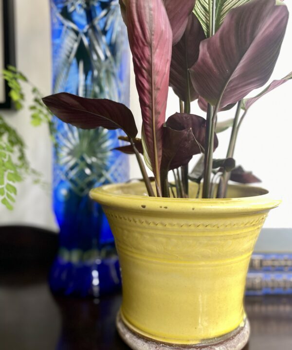 A yellow-glazed terracotta planter with a Royal blue cut glass vase in the background.