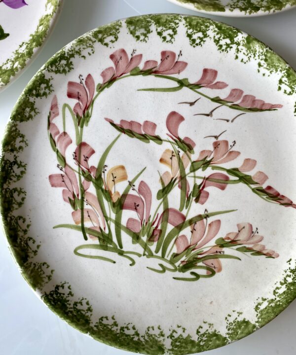 Pretty salmon pink flowers and green leaves on a hand-painted wall plate.